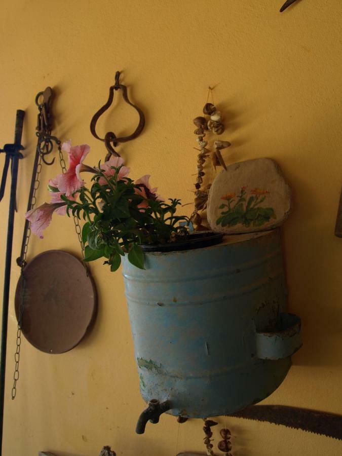 Villa Emma Agia Fotia  Dış mekan fotoğraf